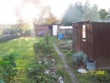 mein garten ganz oben meine zuchtanlage